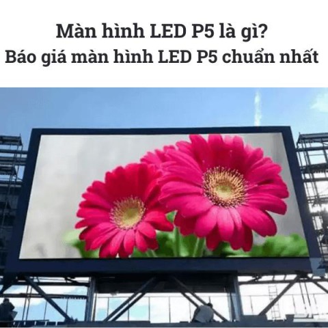 Màn hình LED P5 là gì? Báo giá màn hình LED P5 chuẩn nhất 2021